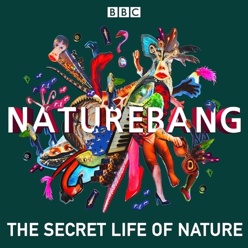 Book cover of NatureBang by Becky Ripley, Emily Knight