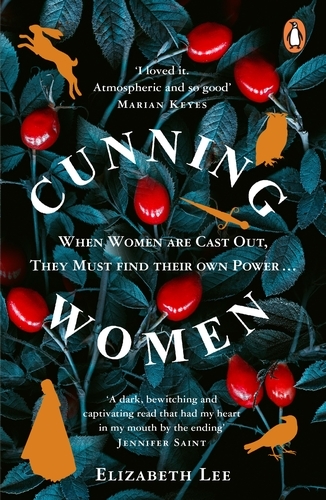 Book cover of Cunning Women by Elizabeth Lee
