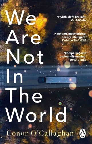 Book cover of We Are Not in the World by Conor O'Callaghan