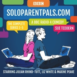 Book cover of Soloparentpals.com by Sue Teddern