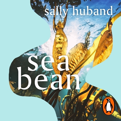 Book cover of Sea Bean by Sally Huband