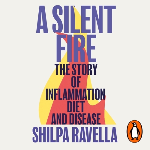 Book cover of A Silent Fire by Shilpa Ravella
