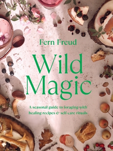 Book cover of Wild Magic by Fern Freud