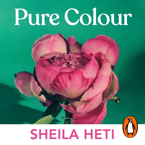 Book cover of Pure Colour by Sheila Heti