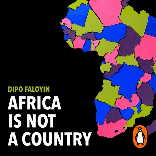 Book cover of Africa Is Not A Country by Dipo Faloyin