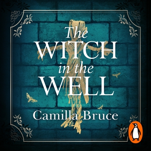Book cover of The Witch in the Well by Camilla Bruce