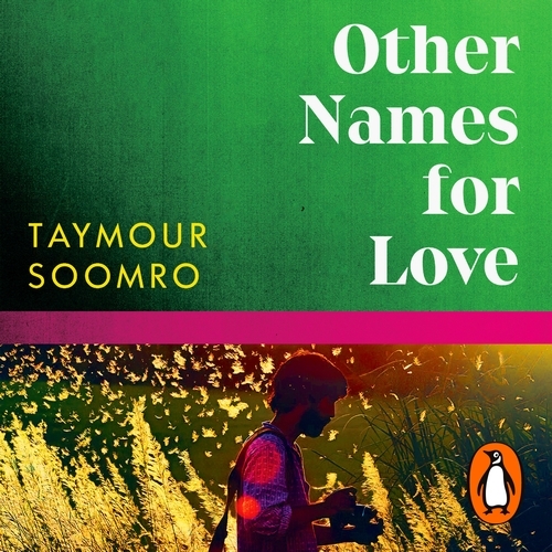 Book cover of Other Names for Love by Taymour Soomro