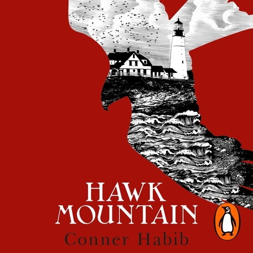Book cover of Hawk Mountain by Conner Habib
