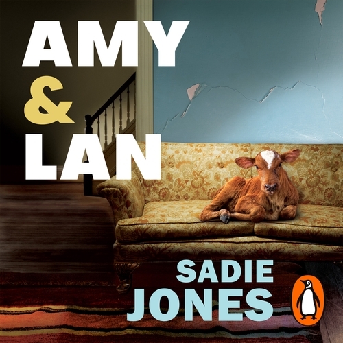 Book cover of Amy and Lan by Sadie Jones