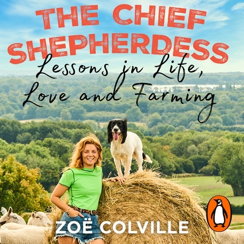 Book cover of The Chief Shepherdess by Zoe Colville