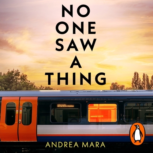 Book cover of No One Saw a Thing by Andrea Mara