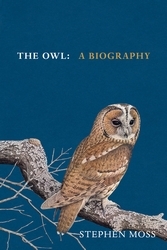 Book cover of The Owl by Stephen Moss
