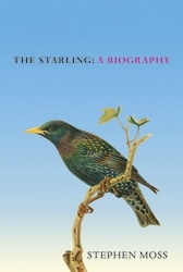Book cover of The Starling by Stephen Moss