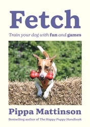 Book cover of Fetch by Pippa Mattinson