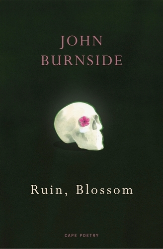 Book cover of Ruin, Blossom by John Burnside