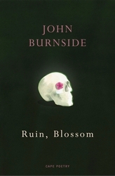 Book cover of Ruin, Blossom by John Burnside