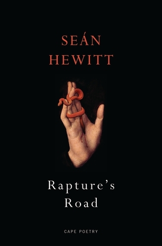 Book cover of Rapture's Road by Seán Hewitt