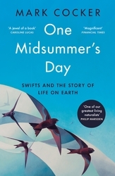 Book cover of One Midsummer's Day by Mark Cocker