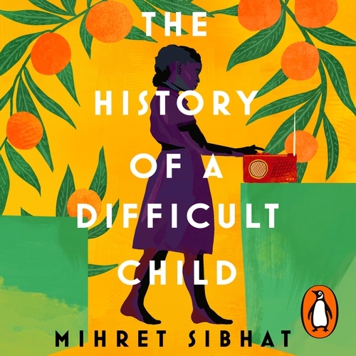 Book cover of The History of a Difficult Child by Mihret Sibhat