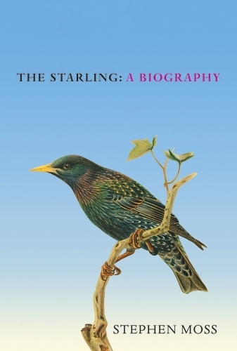 Book cover of The Starling by Stephen Moss