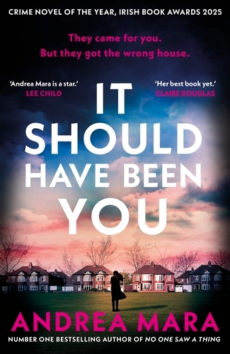Book cover of It Should Have Been You by Andrea Mara