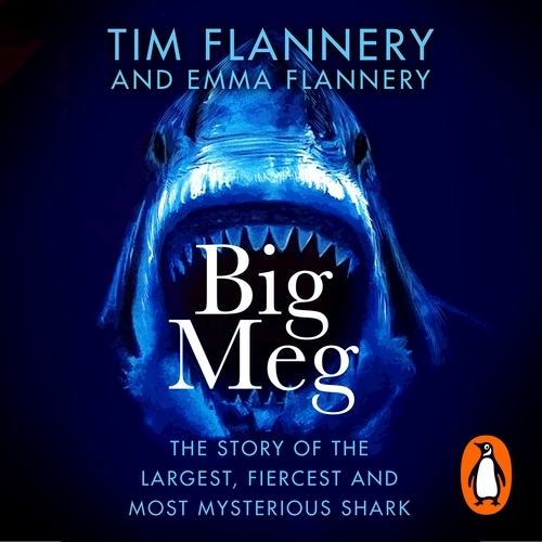 Book cover of Big Meg by Tim Flannery, Emma Flannery