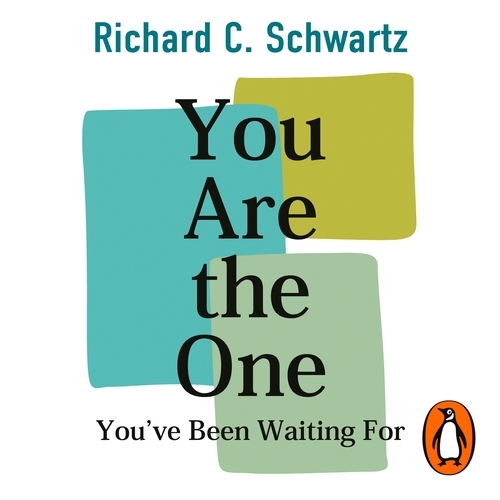 Book cover of You Are the One You’ve Been Waiting For by Richard Schwartz