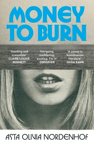 Book cover of Money to Burn by Asta Olivia Nordenhof