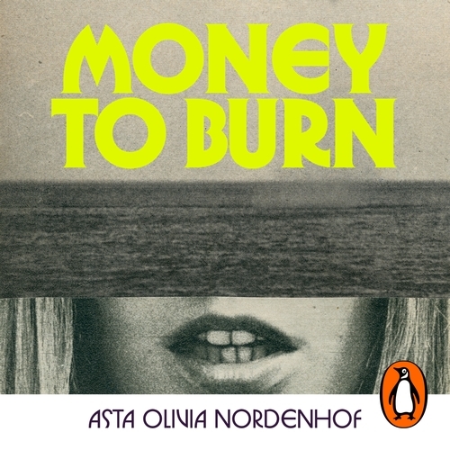 Book cover of Money to Burn by Asta Olivia Nordenhof