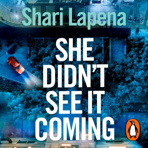 Book cover of She Didn't See It Coming by Shari Lapena