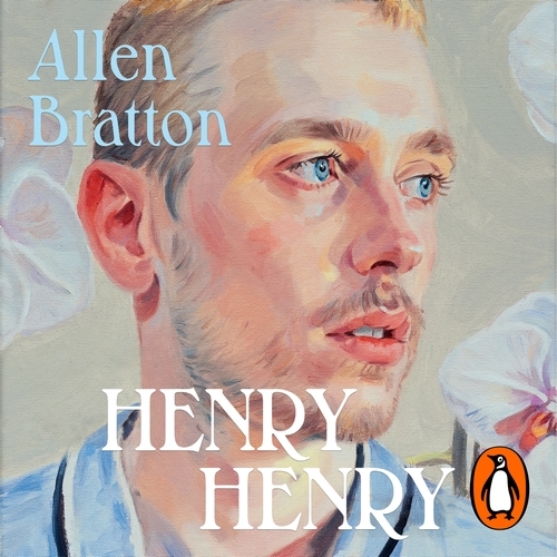 Book cover of Henry Henry by Allen Bratton