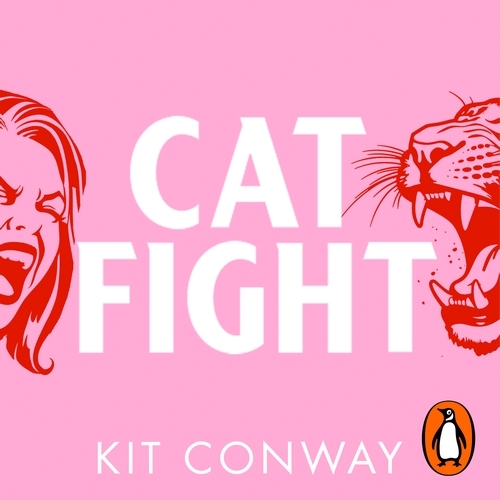 Book cover of Cat Fight by Kit Conway