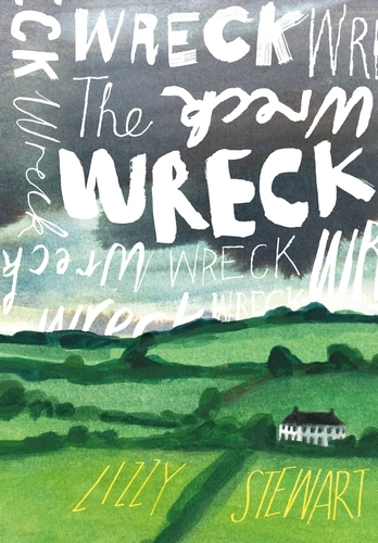 Book cover of The Wreck by Lizzy Stewart