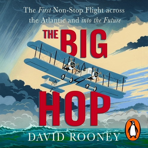 Book cover of The Big Hop by David Rooney