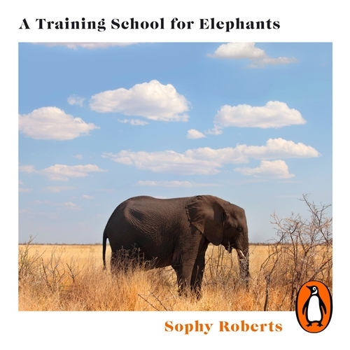 Book cover of A Training School for Elephants by Sophy Roberts