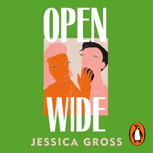 Book cover of Open Wide by Jessica Gross