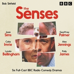 Book cover of The Senses by Bob Sinfield