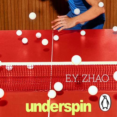 Book cover of Underspin by E Y Zhao