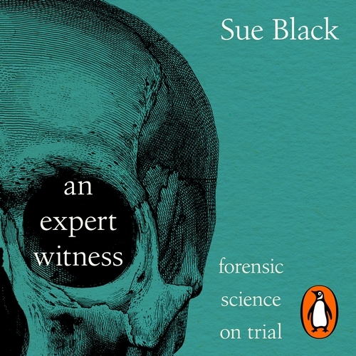 Book cover of An Expert Witness by Sue Black