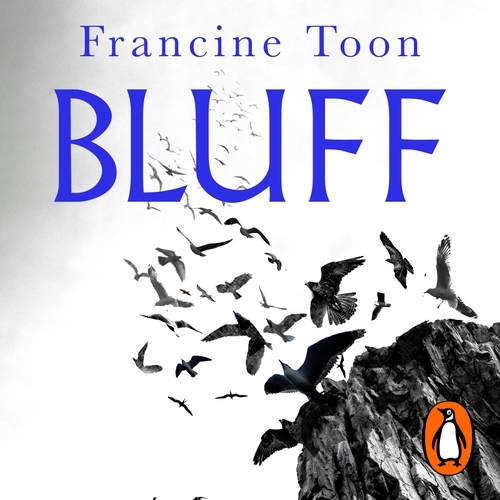 Book cover of Bluff by Francine Toon