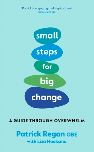 Book cover of Small Steps for Big Change by Patrick Regan