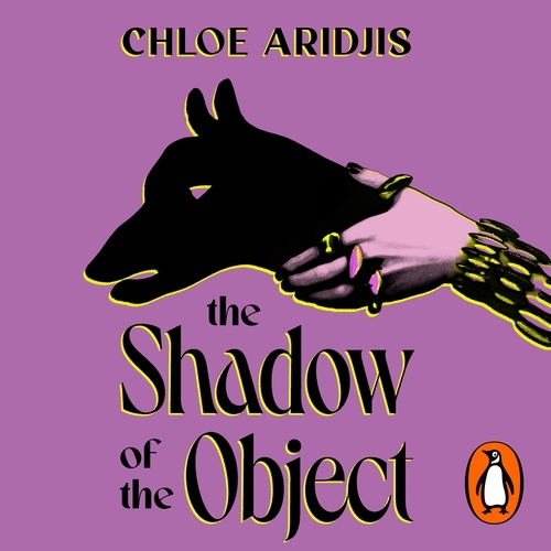 Book cover of The Shadow of the Object by Chloe Aridjis