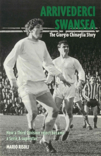 Book cover of Arrivederci Swansea by Mario Risoli