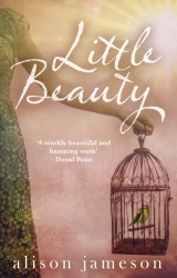 Book cover of Little Beauty by Alison Jameson