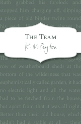 Book cover of The Team by K M Peyton
