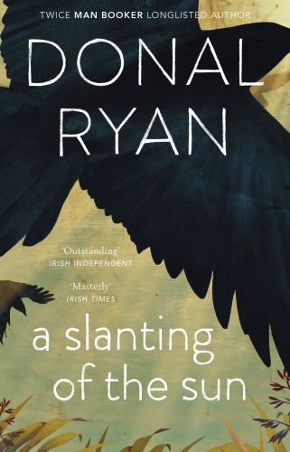 Book cover of A Slanting of the Sun: Stories by Donal Ryan