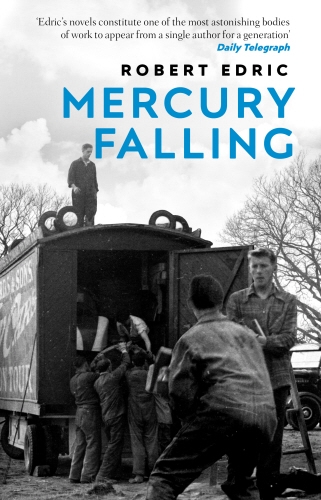 Book cover of Mercury Falling by Robert Edric