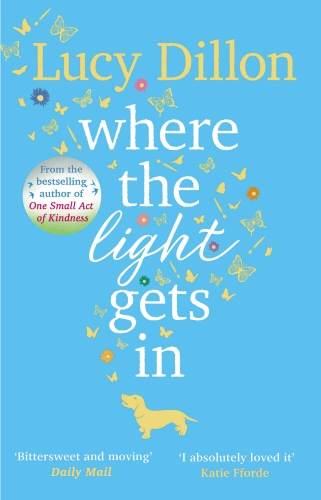 Book cover of Where The Light Gets In by Lucy Dillon