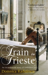 Book cover of Train to Trieste by Domnica Radulescu