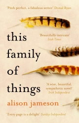 Book cover of This Family of Things by Alison Jameson